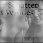 ___der schatten des windes_