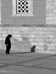 der Schatten