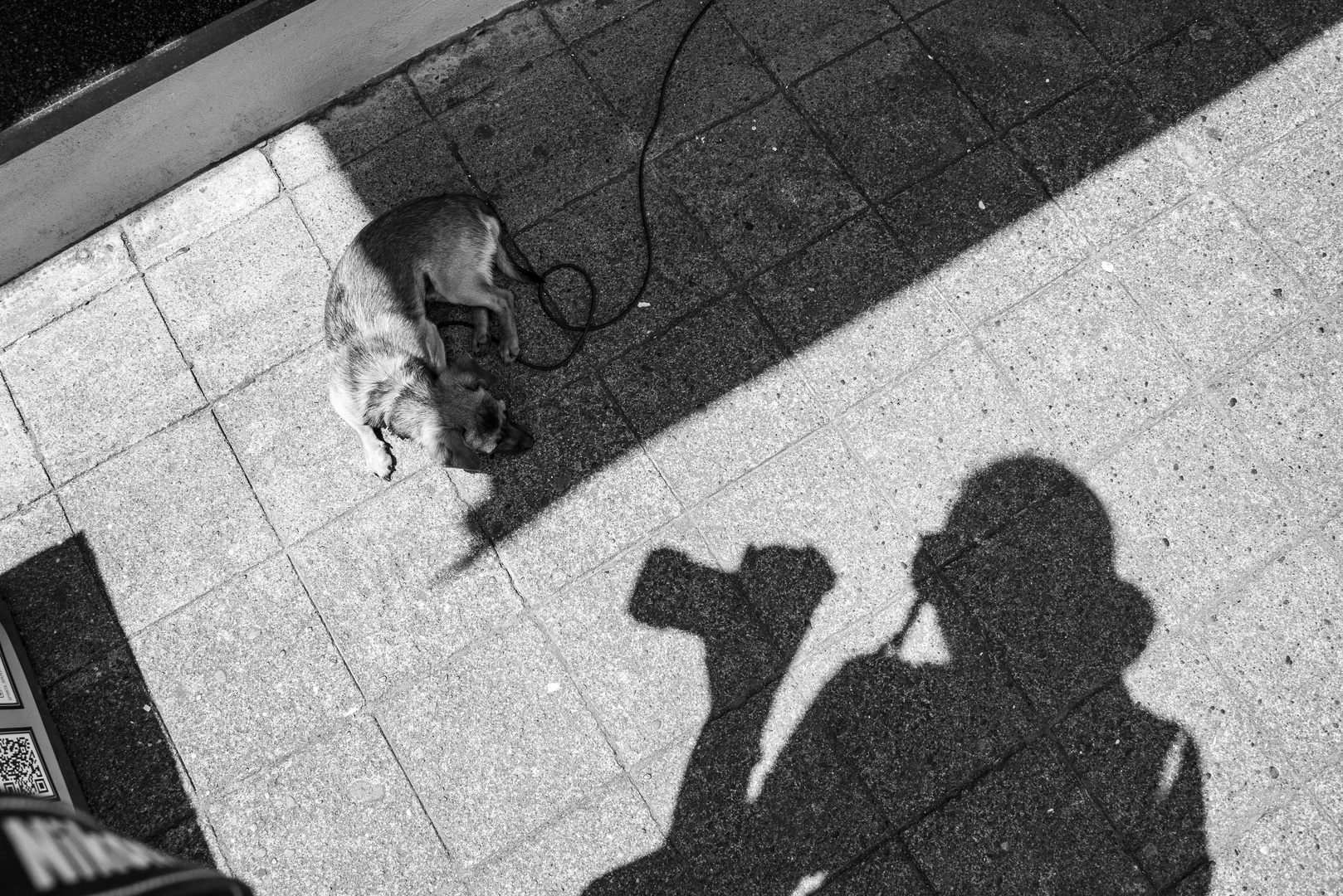 Der Schatten fotografiert