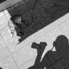 Der Schatten fotografiert