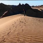 DER SCHATTEN IM SAND.....