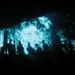 Der Schatten in einem Cenote, die Unterwelt der Maya!