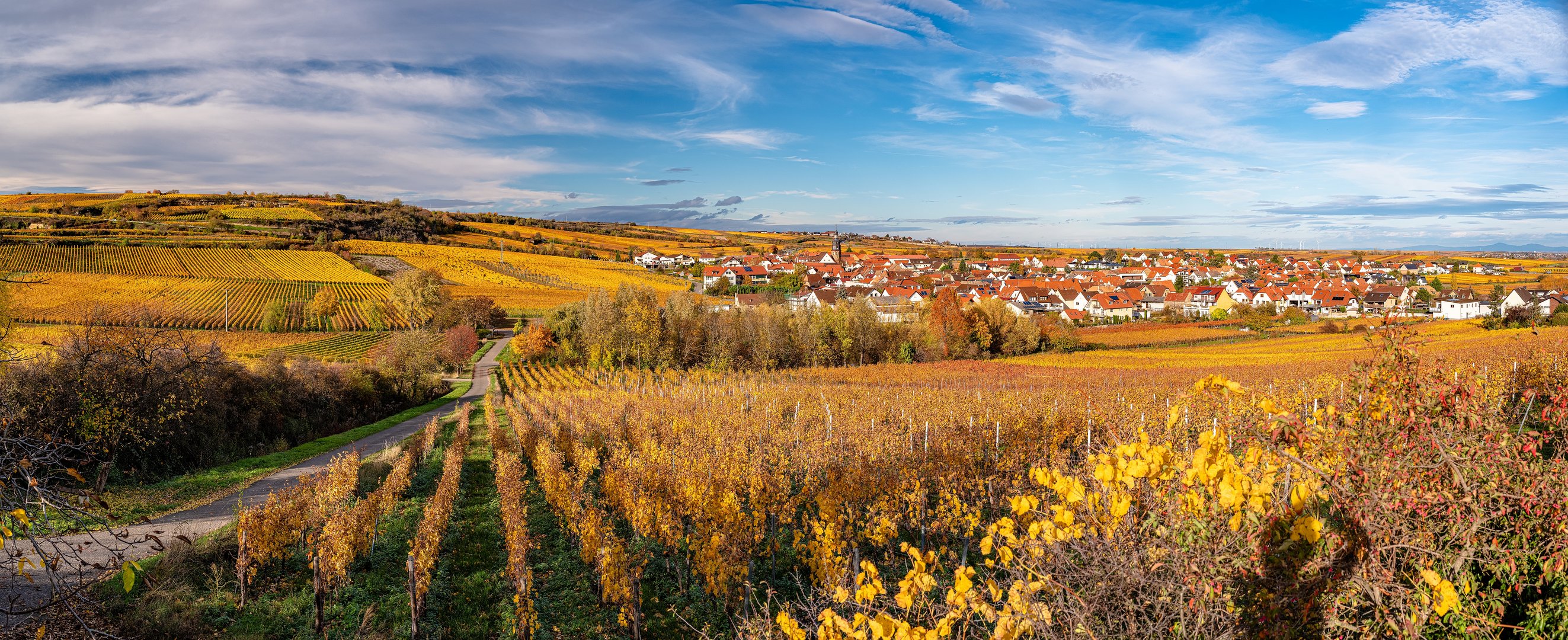 Der Schatten über Kallstadt ....