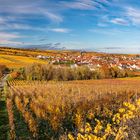 Der Schatten über Kallstadt ....