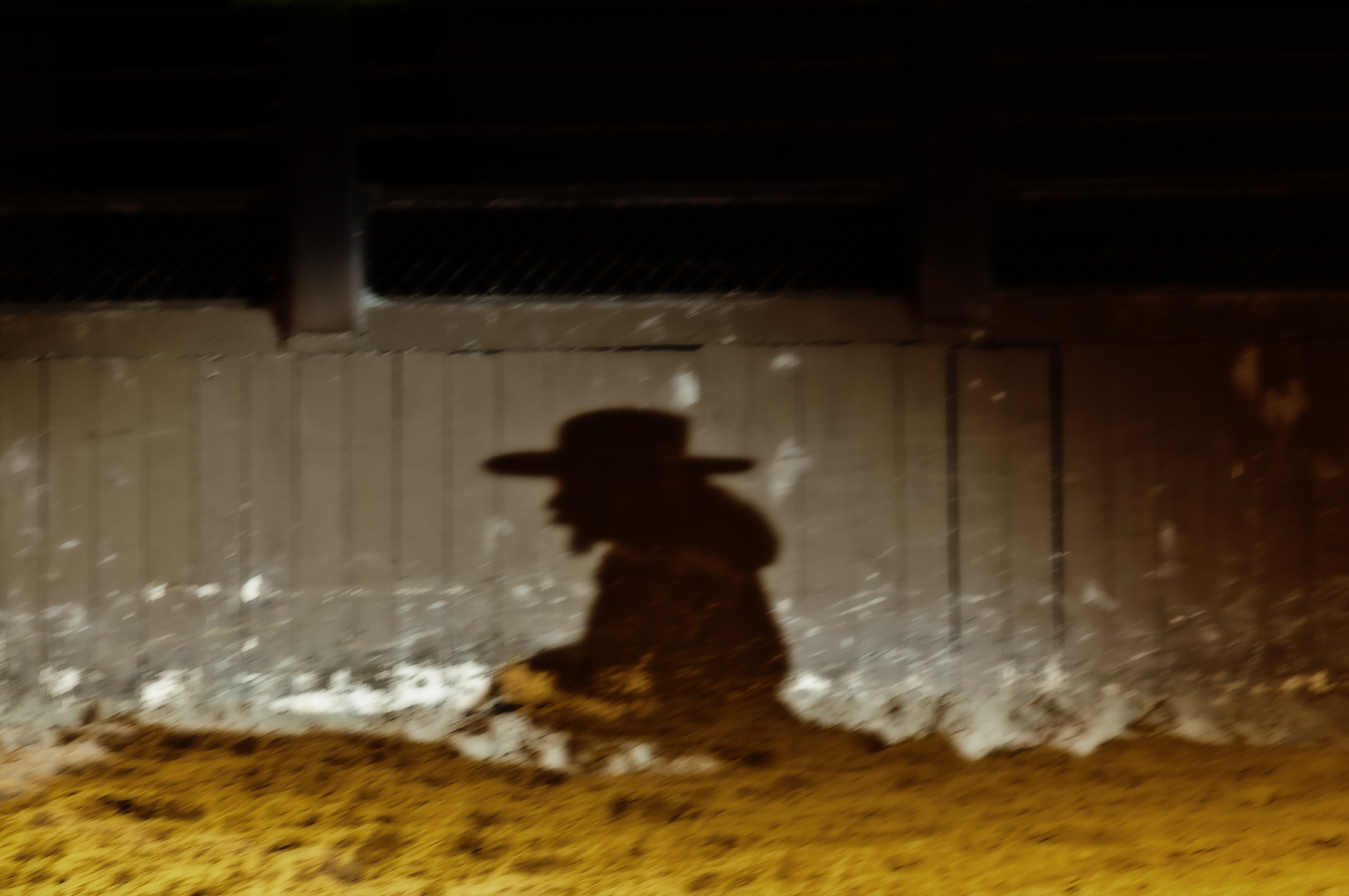 Der Schatten von Buffalo Bill