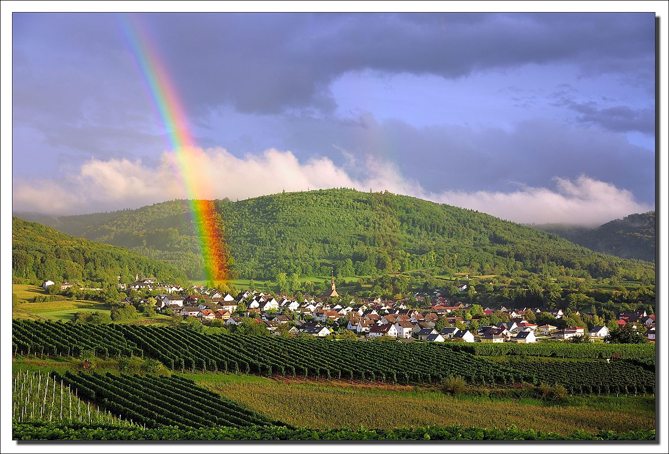 Der Schatz des Leprechaun ...