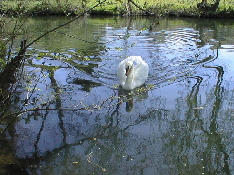 Der Schatz im Silbersee...