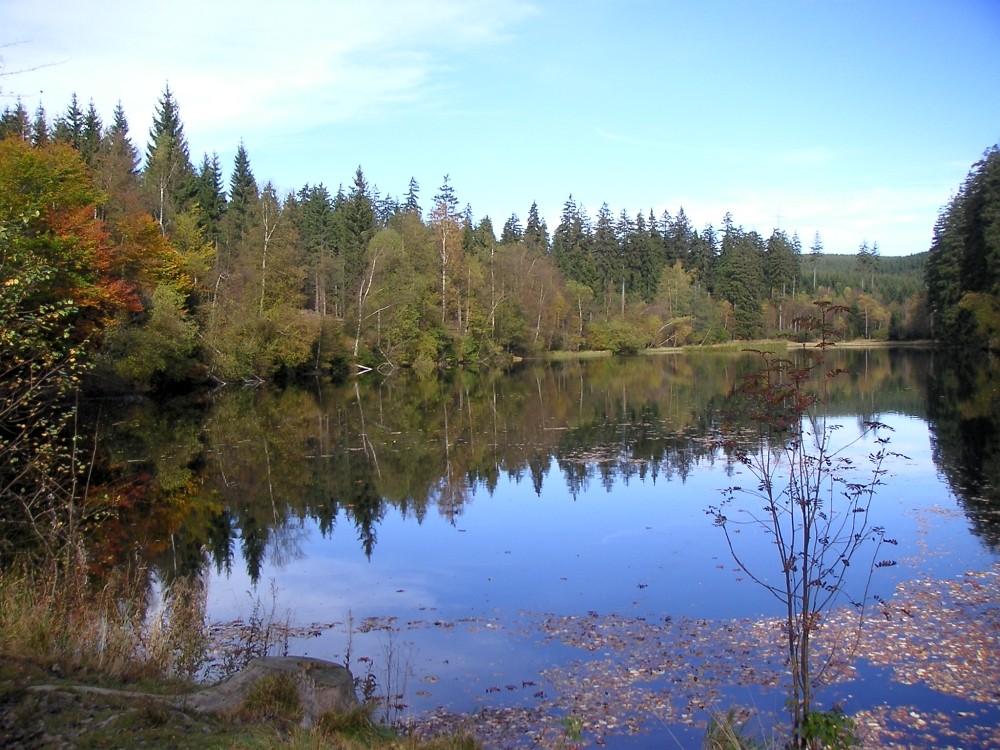 Der (Schatz im) Silberteich...