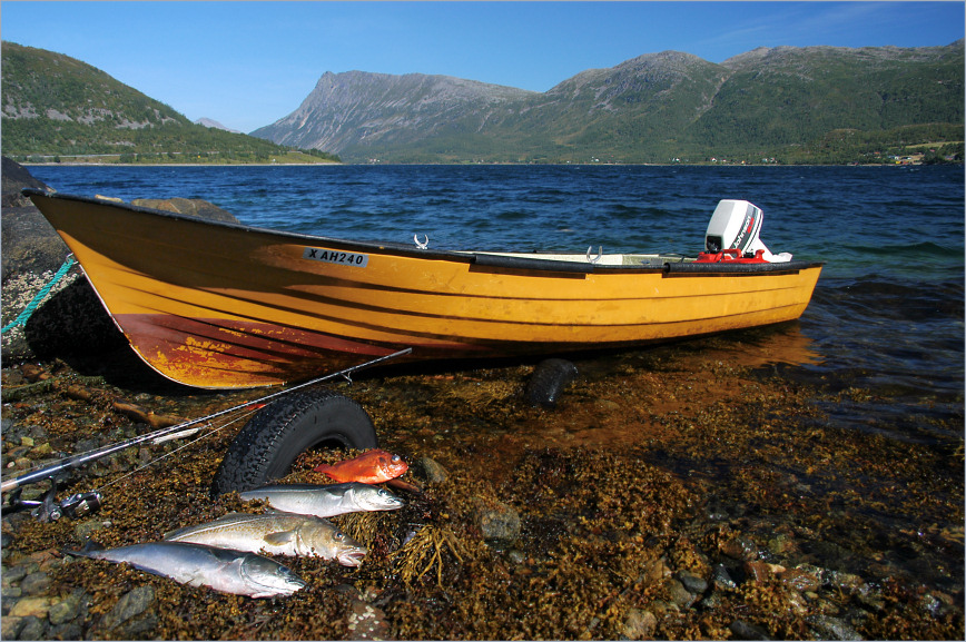 Der Schatz vom Gullesfjord