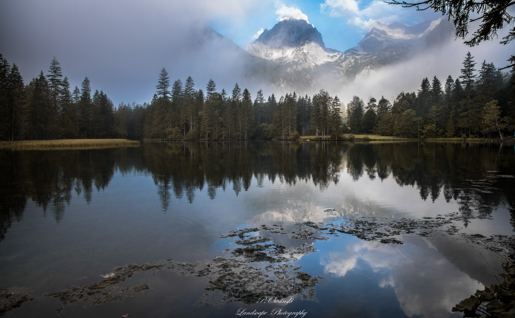 Der Schiederweiher