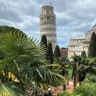 Der "Schiefe Turm" im Garten