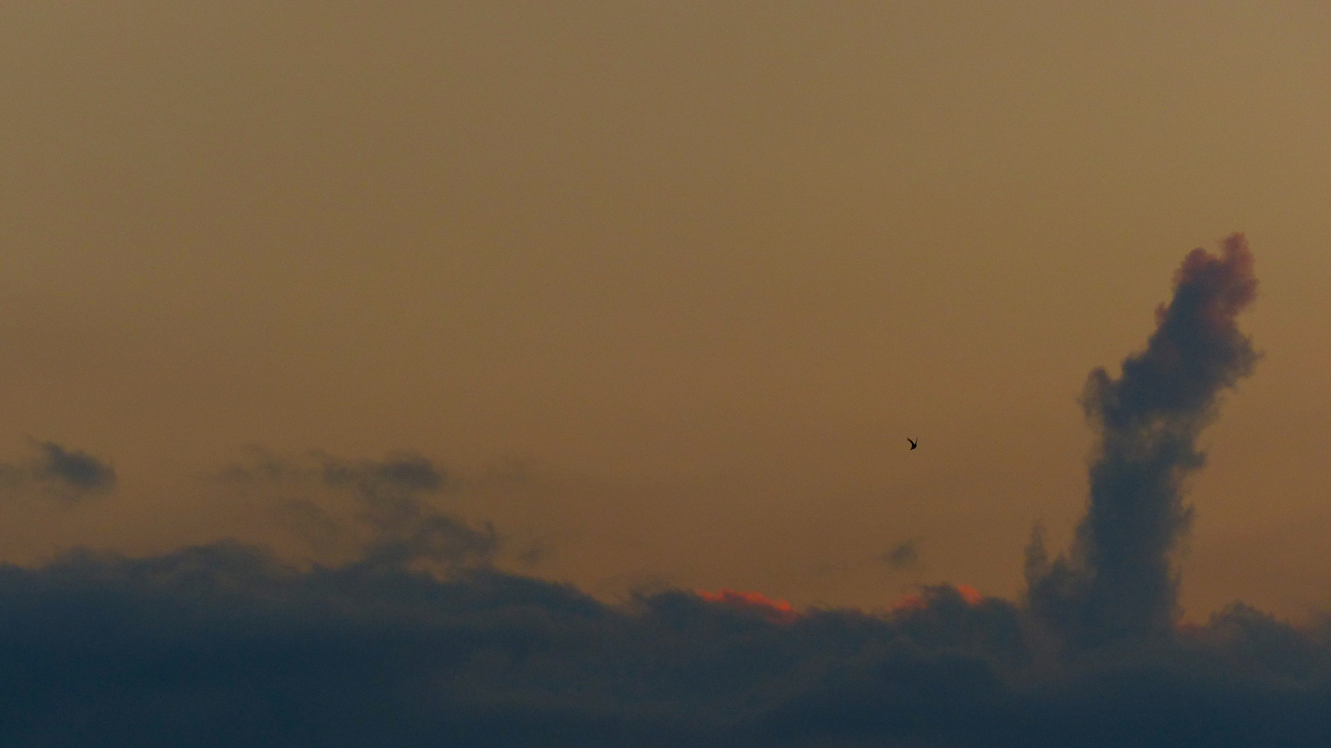 Der schiefe Turm von Wolke