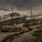 Der Schiffsfriedhof von Camaret-Sur-Mer (2)