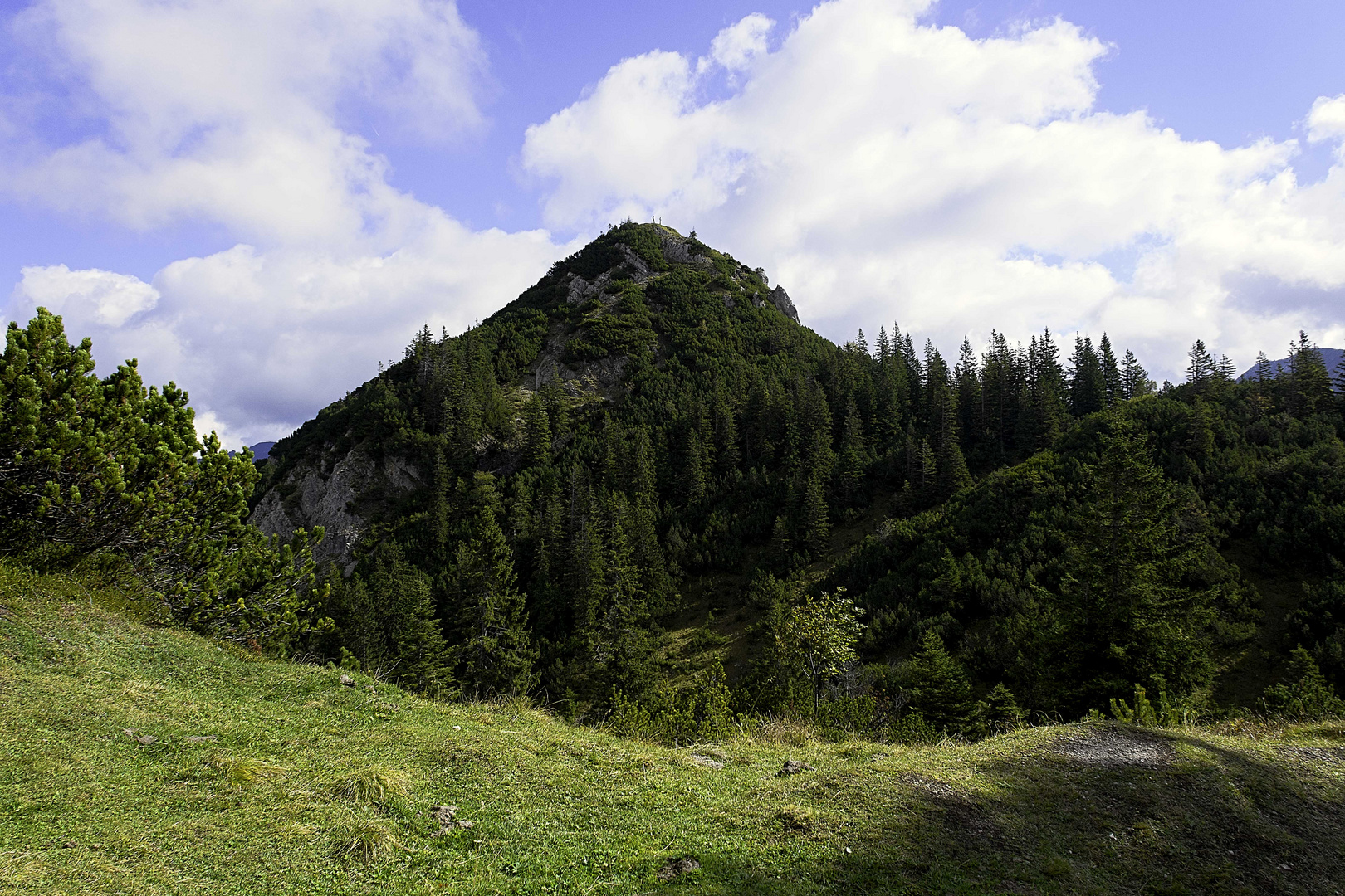 Der Schildenstein grüßt