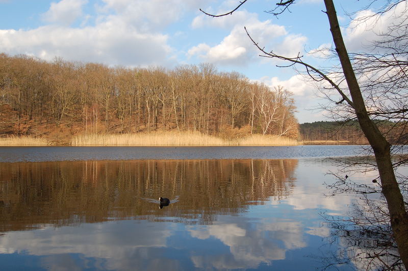 Der Schlachtensee