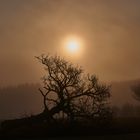 Der schlafende Riese (nach Kazuo Ishiguro)