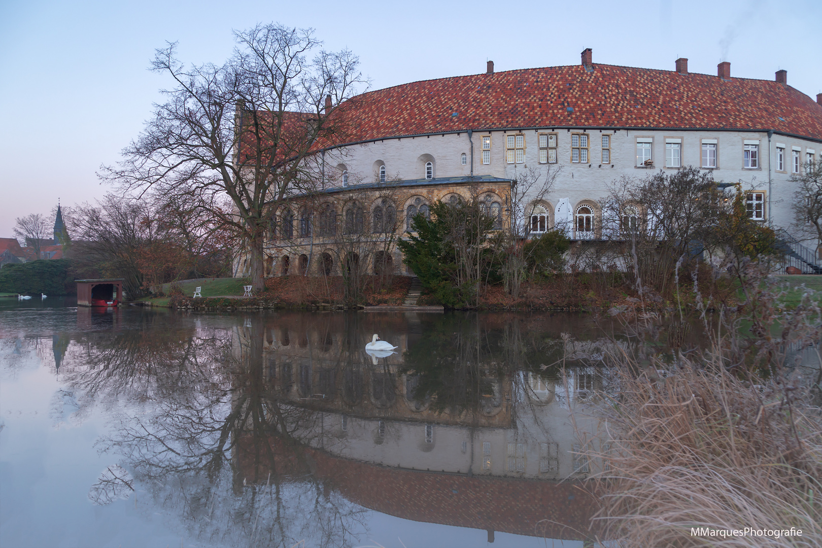 der schlafende schwan