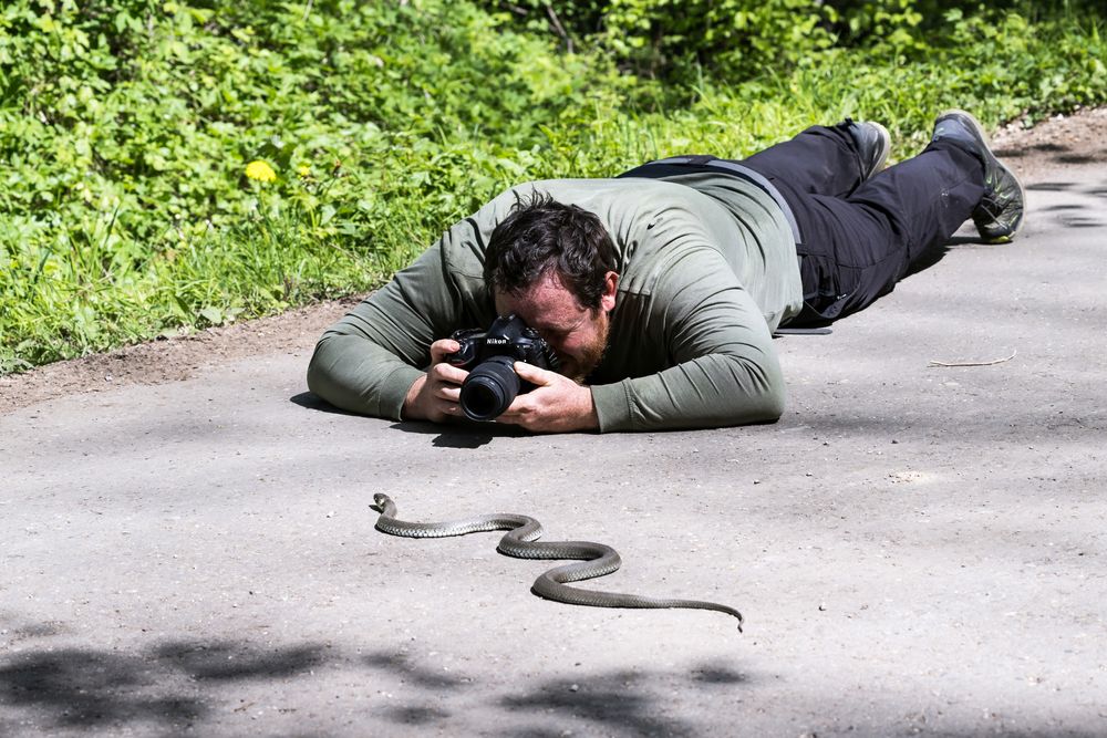 Der Schlangenfotograf