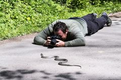 Der Schlangenfotograf