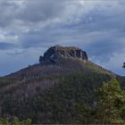 Der schlanke Lilienstein 