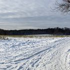 der Schleichweg zum Wald-Klinikum ...