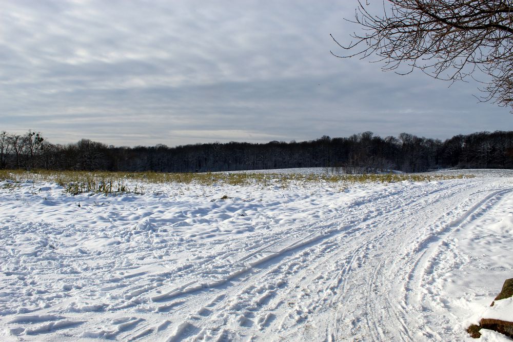 der Schleichweg zum Wald-Klinikum ...