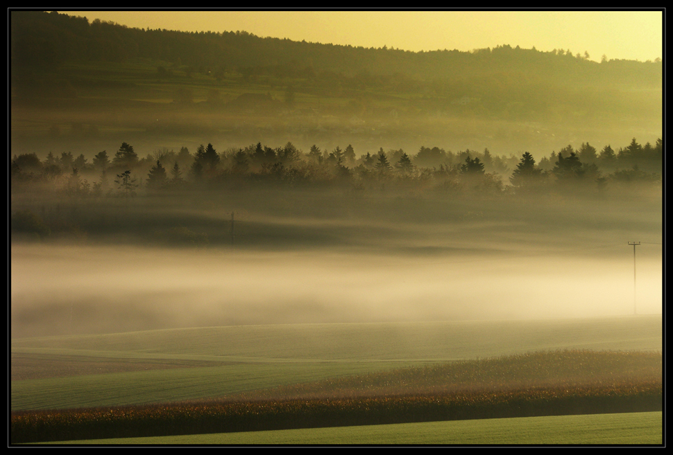 Der Schleier der Stille