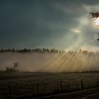 Der Schleier fällt....... und auf einmal ist Glanz "in der Hütte".