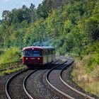 Der Schleizer Schienenomnibuszug