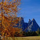 Der Schlern von der Seiser Alm aus (3)