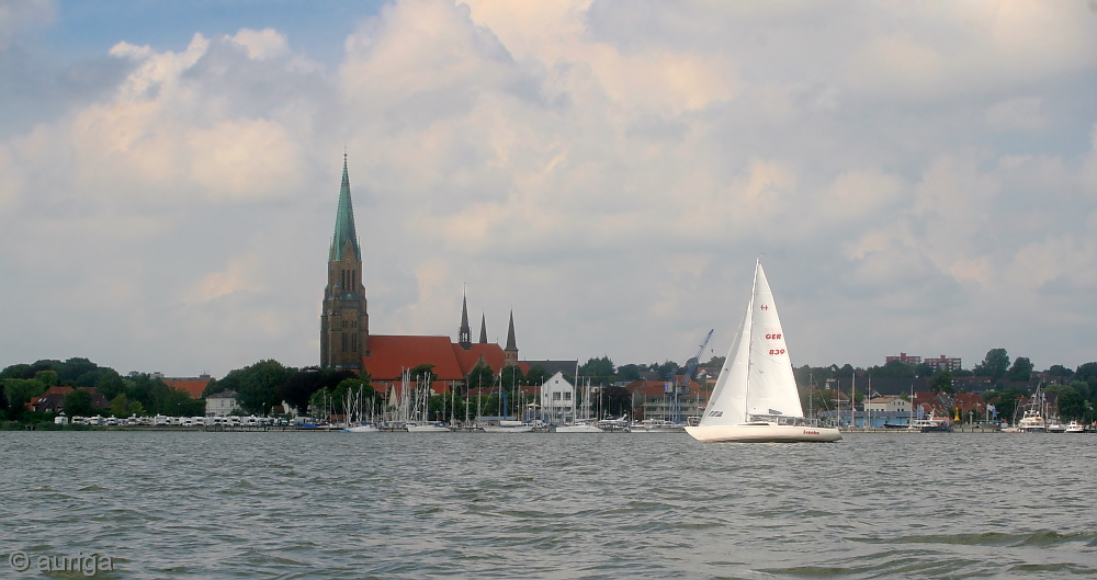 Der Schleswiger Dom