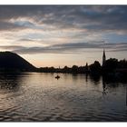 Der Schliersee im August 2014 (2)