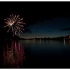 Der Schliersee im Juli 2017 (152) 