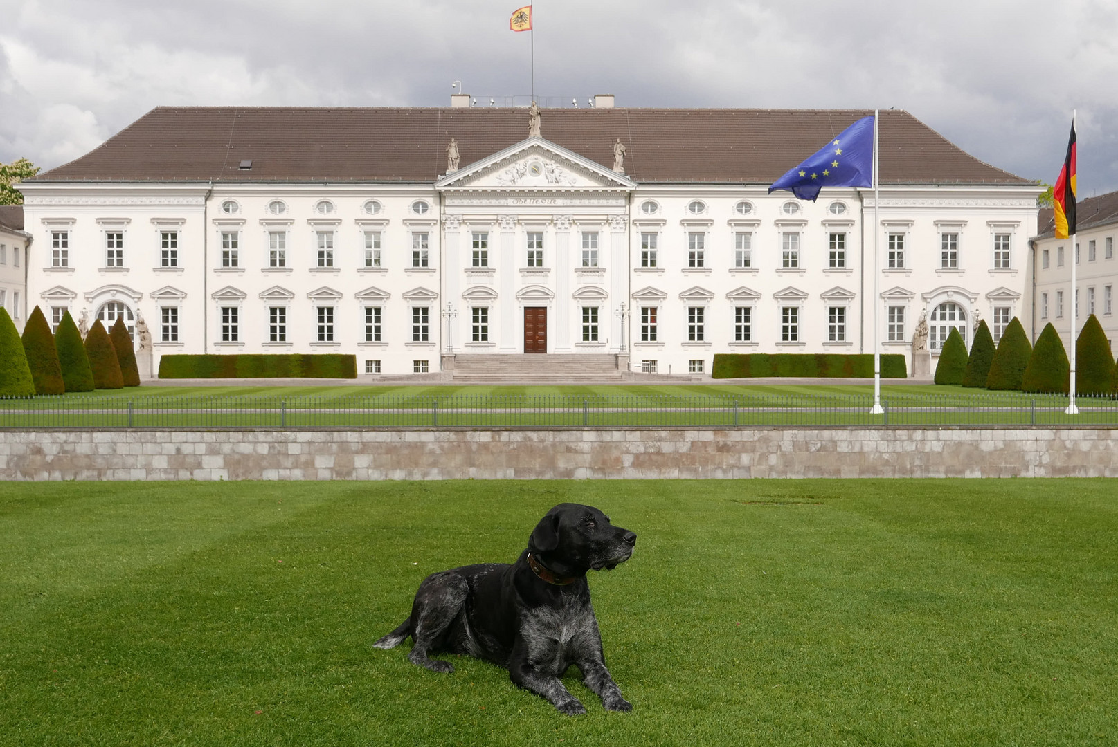 Der Schlosshund