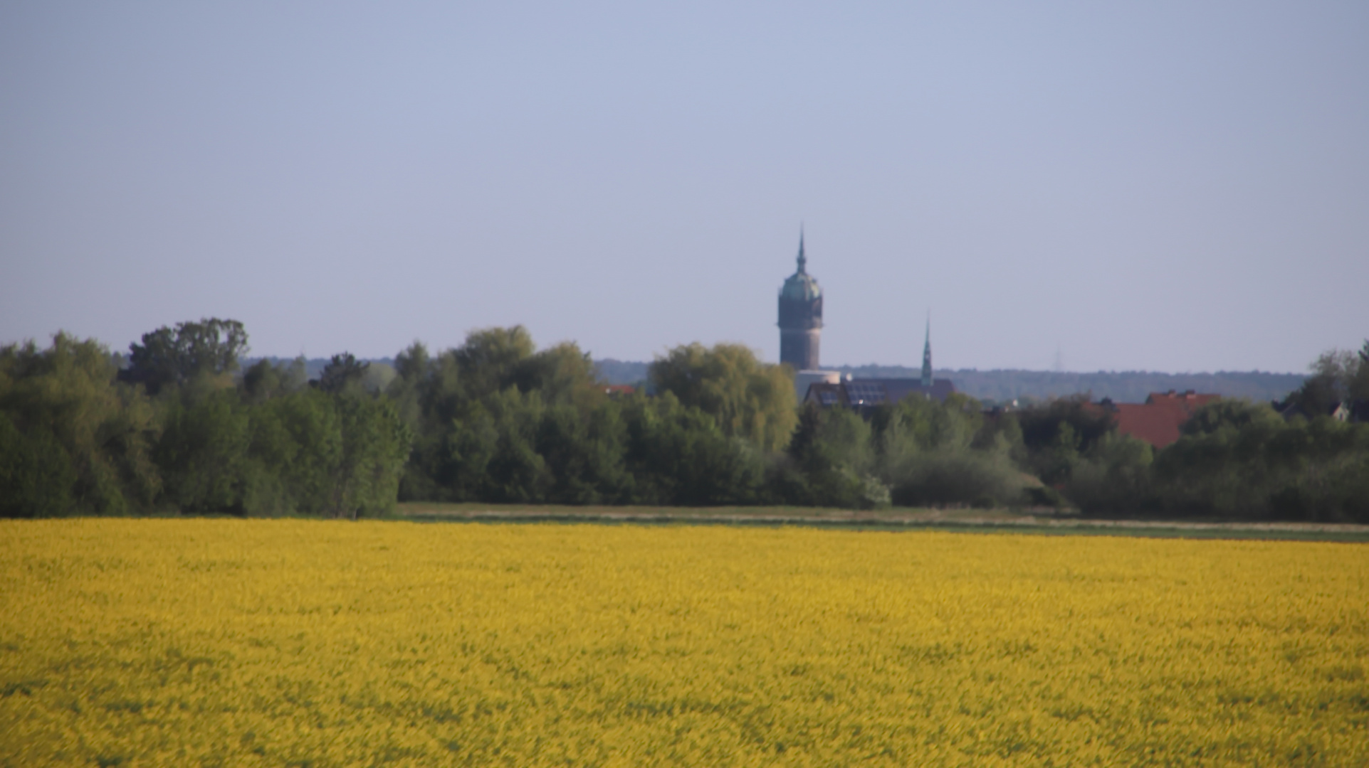 Der Schlosskirchenturm in Lutherstadt Wittenberg