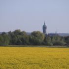 Der Schlosskirchenturm in Lutherstadt Wittenberg