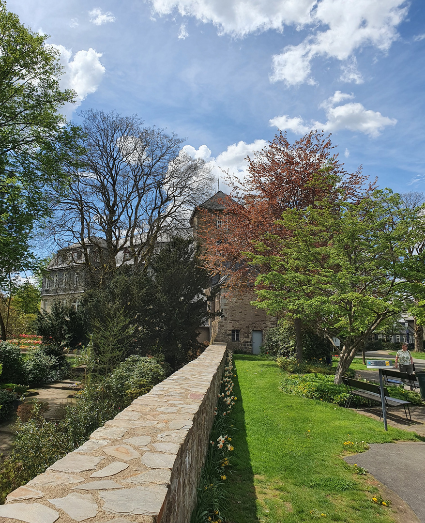 Der Schlosspark 