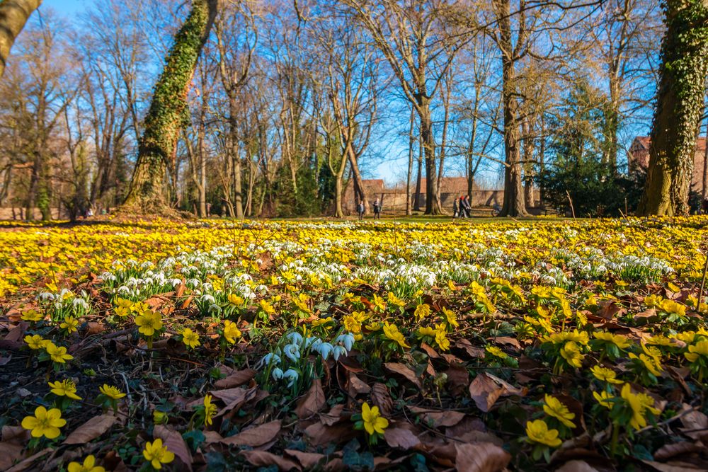 Der Schloßpark