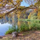 Der Schloßpark in Putbus