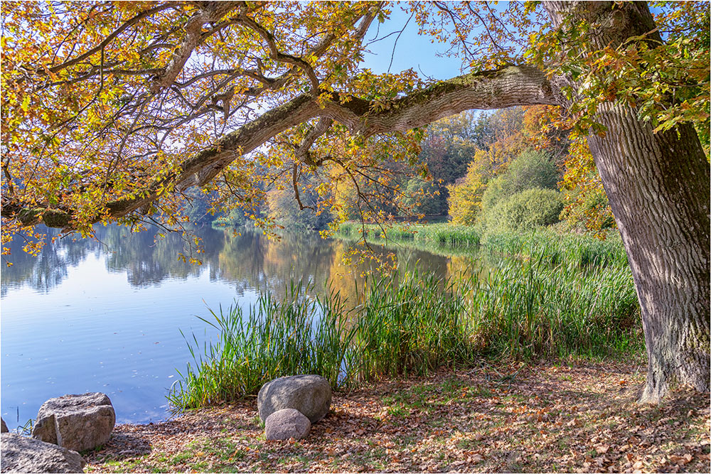 Der Schloßpark in Putbus