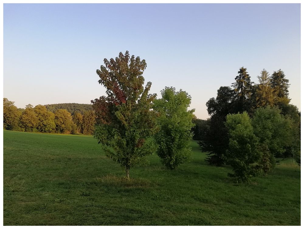 Der Schlosspark mitten im Dorf