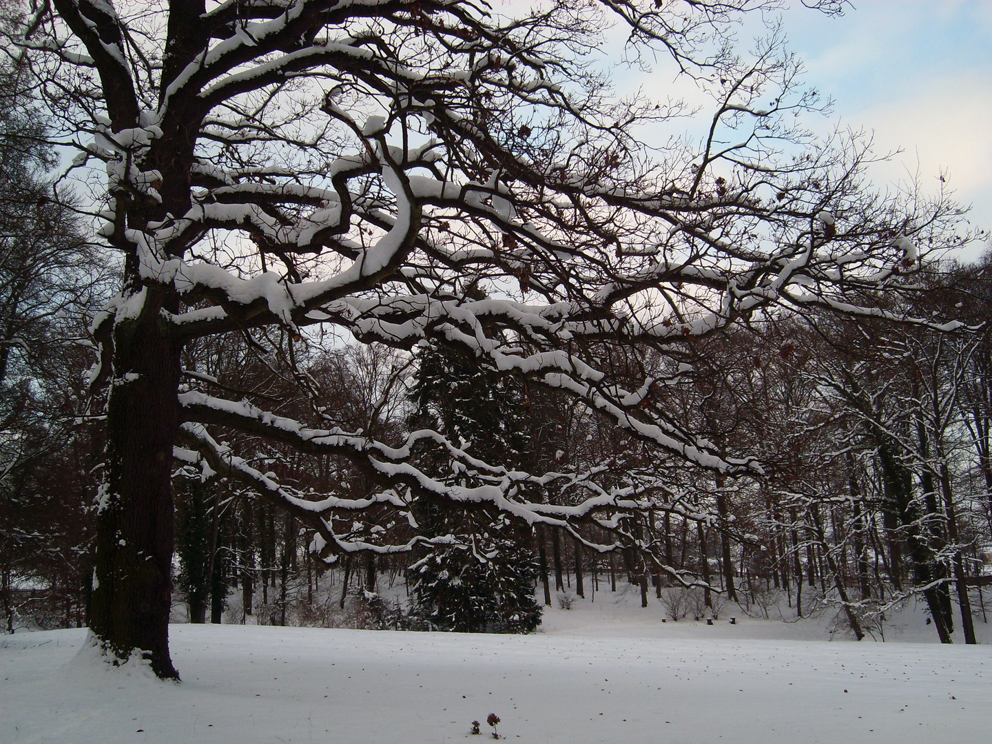 Der Schlosspark schläft