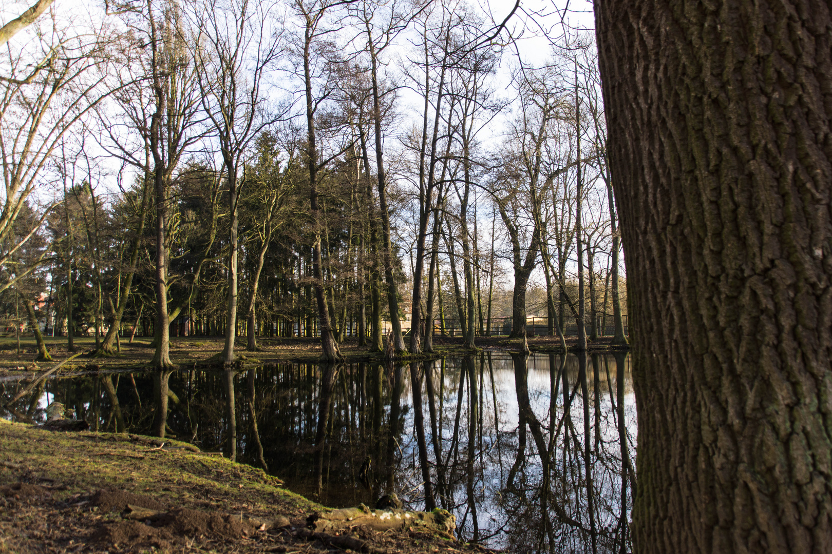 Der Schlossteich zu Meisdorf