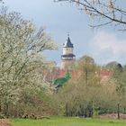 Der Schloßturm von der Sonne geküßt