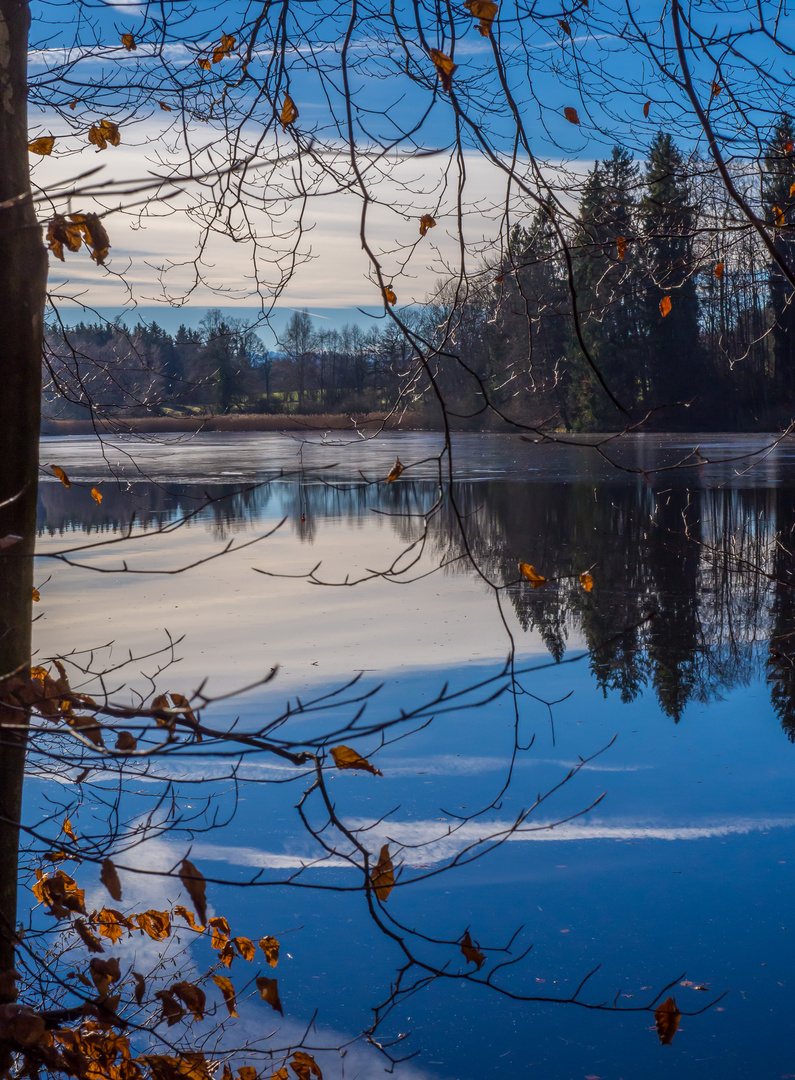 Der Schlossweiher