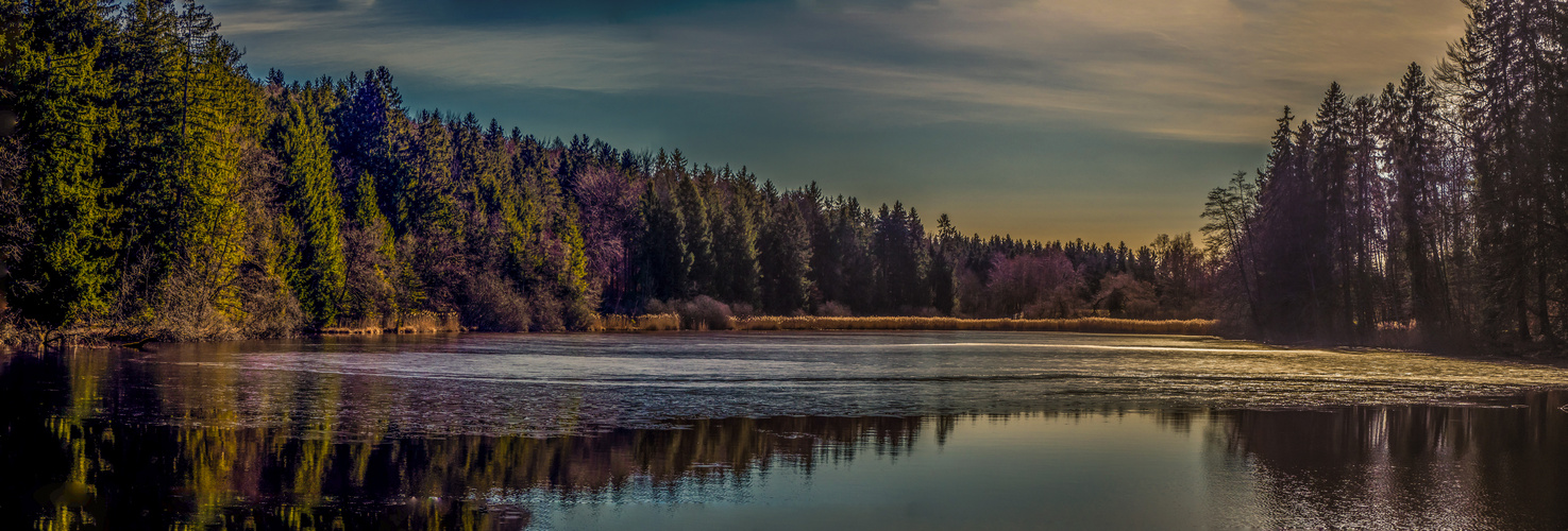 Der Schlossweiher