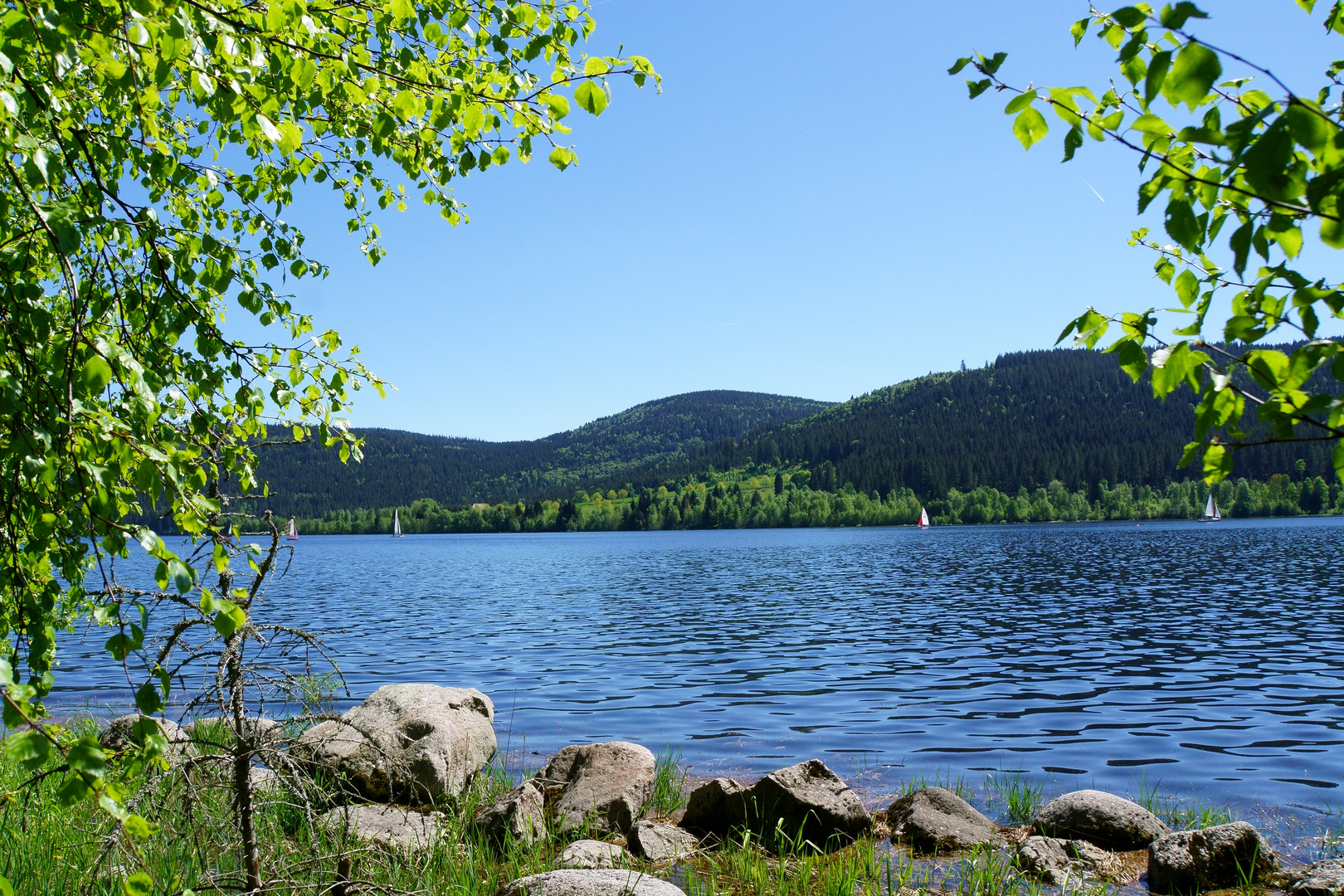 der Schluchsee