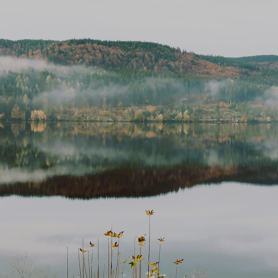 Der Schluchsee im Herbst