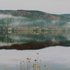 Der Schluchsee im Herbst