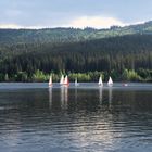 Der Schluchsee im Schwarzwald …